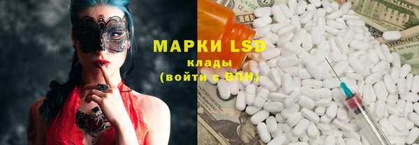 индика Белокуриха