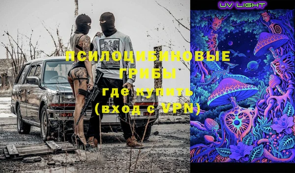 индика Белокуриха
