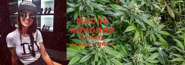 индика Белокуриха