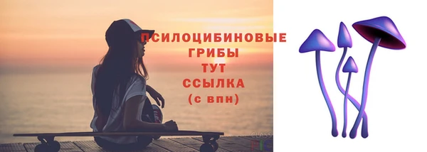 стафф Богданович