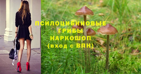 COCAINE Богородск