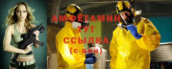 индика Белокуриха
